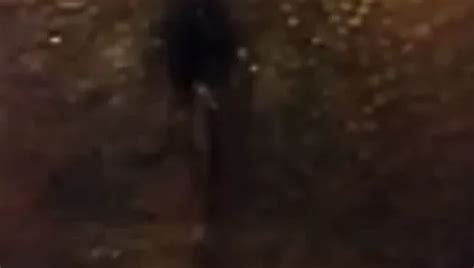 Calentamiento Free Latina Porn Video D XHamster