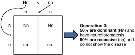 Recessive Vs Dominant Chart