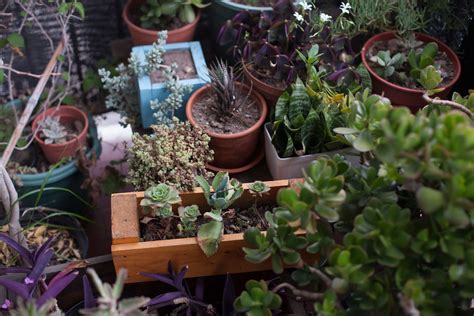 Ariel The Gay Men Project Photo By Kevin Truong THE GAY MEN PROJECT