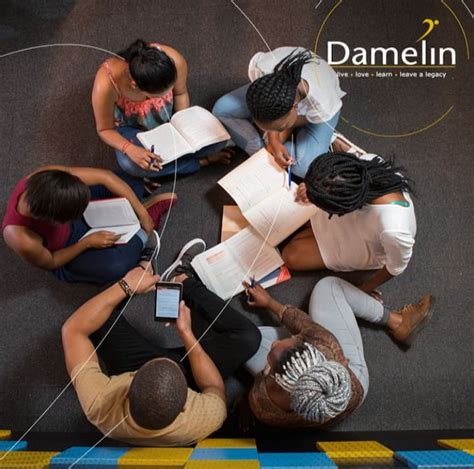 List of all Damelin courses and fees 2022: Check them out - Briefly.co.za