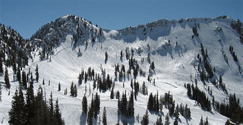 Alta – Stay Park City