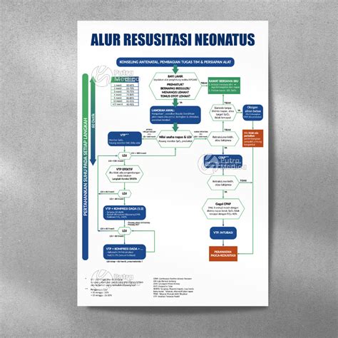 jual poster kesehatan alur resusitasi neonatus  edukasi tata