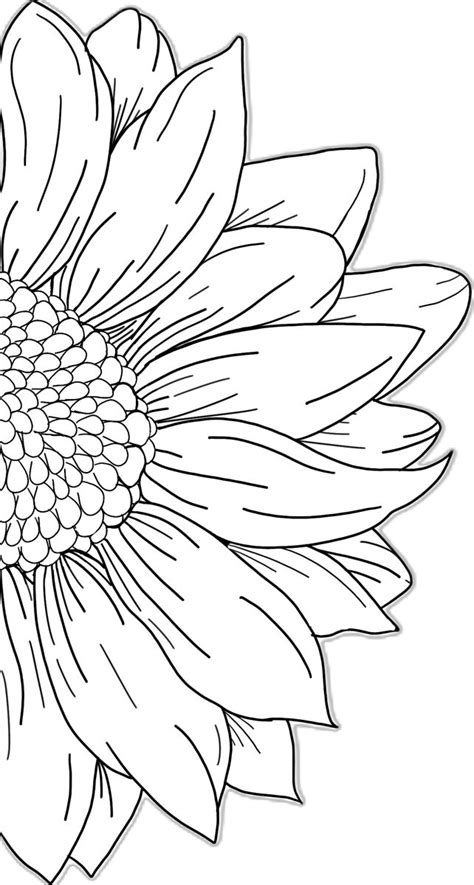 outline drawing ideas   create   artofit