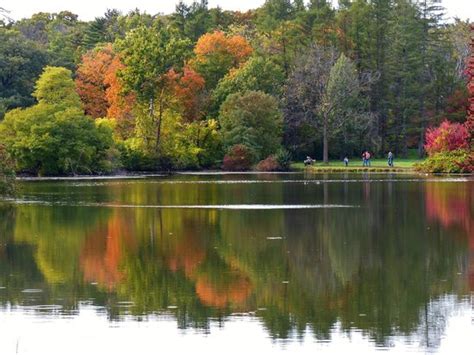 The 10 Closest Hotels To Morton Arboretum Lisle