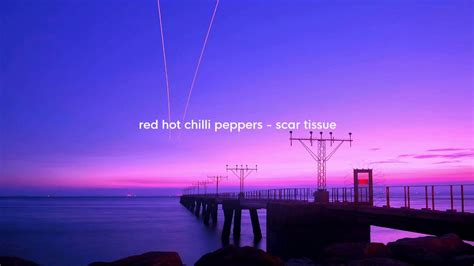 Red Hot Chili Peppers Scar Tissue Album