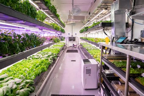 How has vertical farm design changed over the years? — Growcer