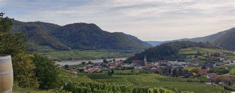 All you need to know about wine in the Wachau