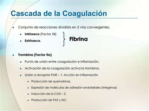 Clase Mediadores Quimicos De La Inflamacion Ppt