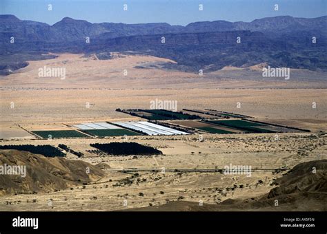 Negev Desert, Israel Stock Photo - Alamy