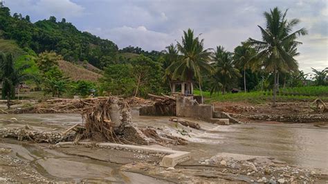 Ratusan Hektar Sawah Terancam Kekeringan Pasca Banjir Bandang Di Kalukku