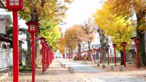 Watch sbakun 美乳 アダルト Asian Porn SpankBang