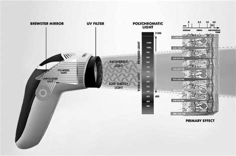 Schematic representation of the light therapy device (Bioptron MedAll ...