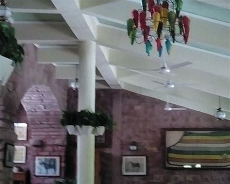 bal samand lake palace jodhpur restaurant reviews phone number
