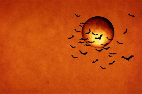 8 Free Halloween Textures for 2013 | ibjennyjenny Free Resources