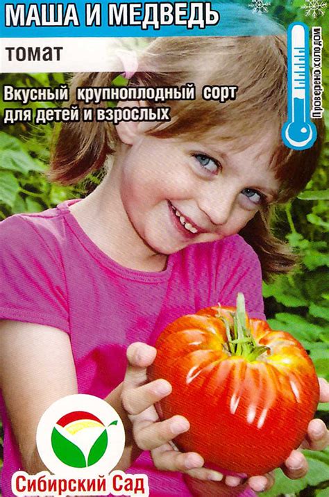 Томат Маша и медведь: описание сорта помидоров, характеристики ...