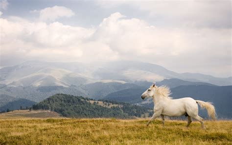 breeze jaime breeze