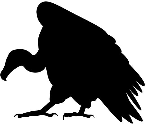 Turkey vulture Clip art - Vulture Silhouette PNG Clip Art Image png download - 8000*6874 - Free ...