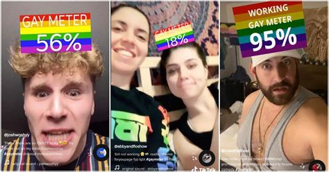 Youre Gay Meme Tiktok Vvtisiam