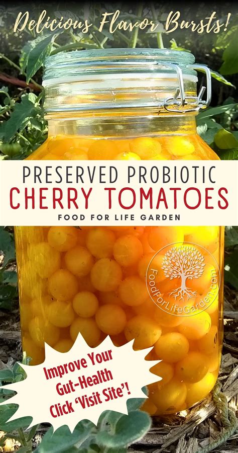 fermenting food recipes 7