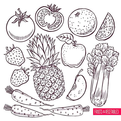 Premium Vector Set Of Sketch Fruits And Vegetables Hand Drawn