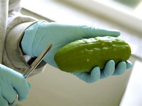 Dildo Fr Chte Wie Aus Silikon Eine Geschmeidige Aubergine Wird Der Spiegel