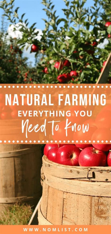 Natural Farming Everything You Need To Know Nomlist Landwirtschaft