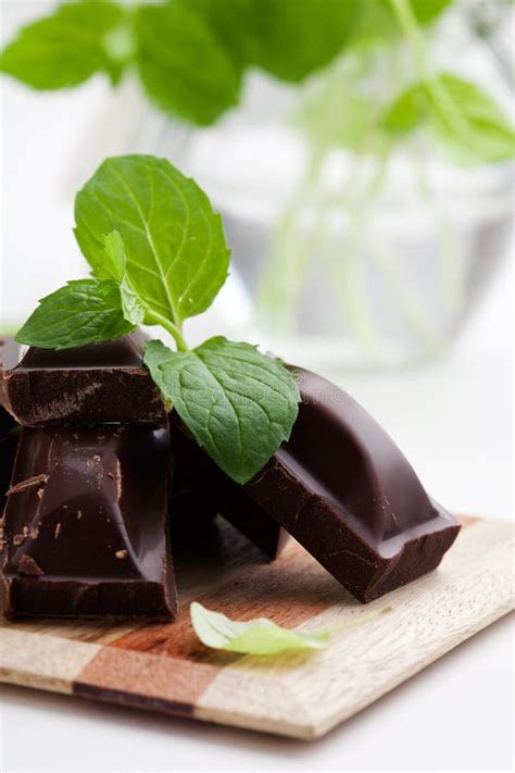 Mint Chocolate stock photo. Image of milk, fresh, plant - 31762016