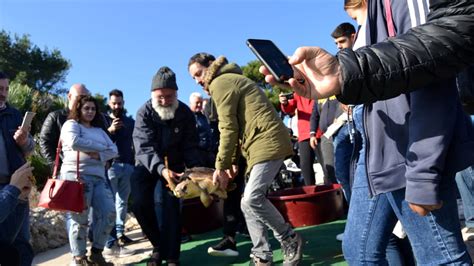 Biagio Giorgia E Martina Tornano In Mare Liberate Tre Tartarughe