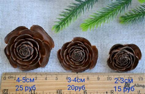 Шишки ливанского кедра в интернет-магазине на Ярмарке Мастеров ...