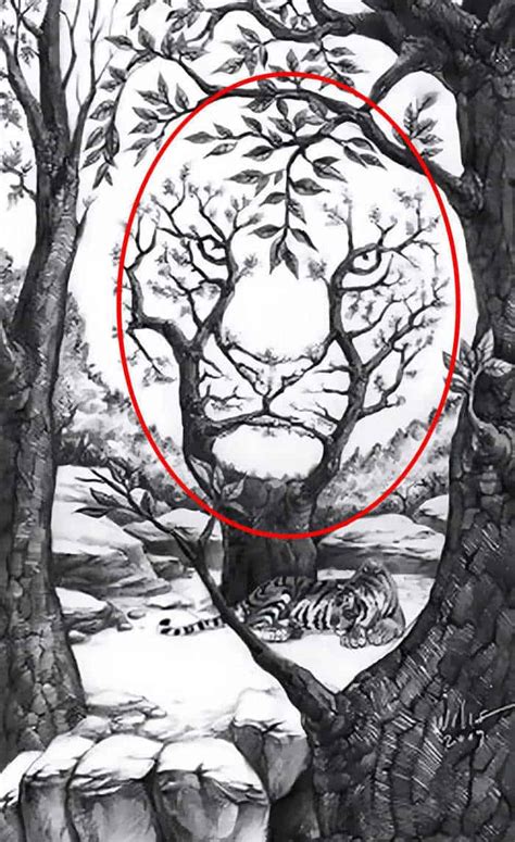Seek And Find Puzzle Find The Hidden Tiger In 6 Seconds