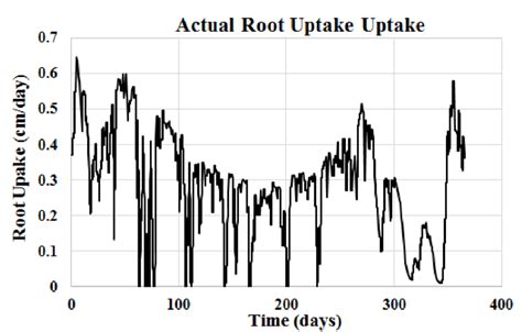 7 Actual root water uptake versus time. | Download Scientific Diagram