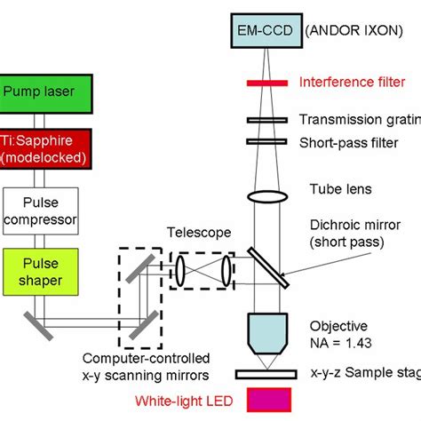 Schematic Of The Two Photon Microscope With Spectral Resolution In