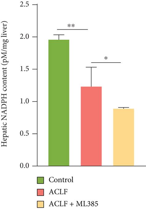 Nrf2 inhibition promoted the onset of lipid peroxidation and aggravated ...