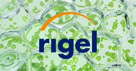 Rigel Pharmaceuticals RIGL Receives Hold Rating From Brokerages