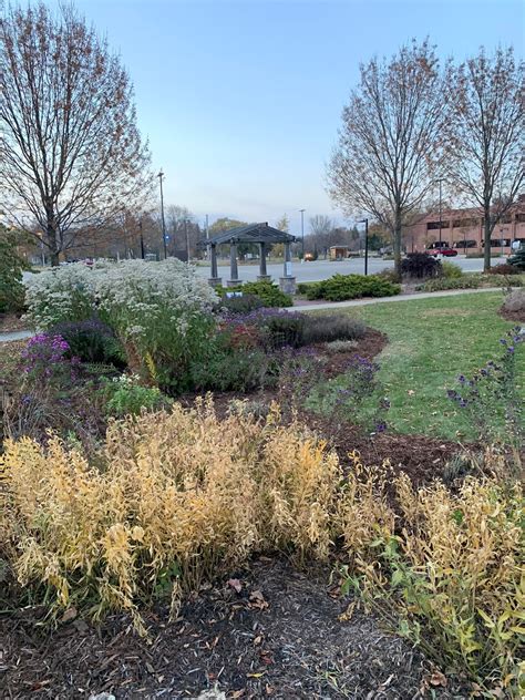 RCTC SMART Garden - Growing for You | Rochester MN
