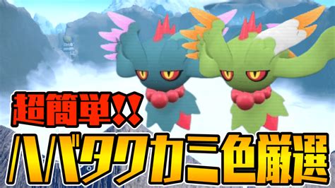 【ポケモンsv】ハバタクカミの色違い厳選方法・おすすめ場所は？【スカーレットバイオレット】 Appbank