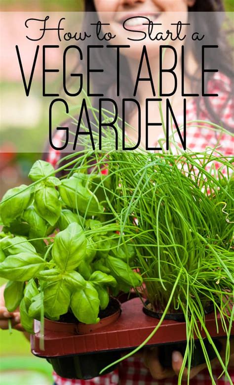 seasoned homemakerhow  start  vegetable garden