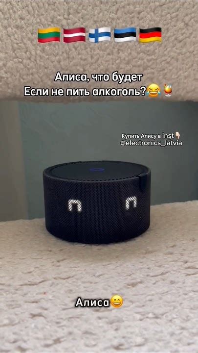 Как подключить и как настроить колонку Алиса😱 Инст:electronics_latvia# ...