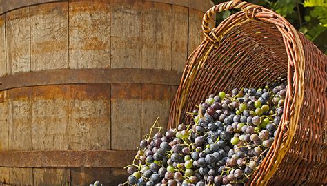 Naked Wines Plc Equity Research Stock Reports Research Tree