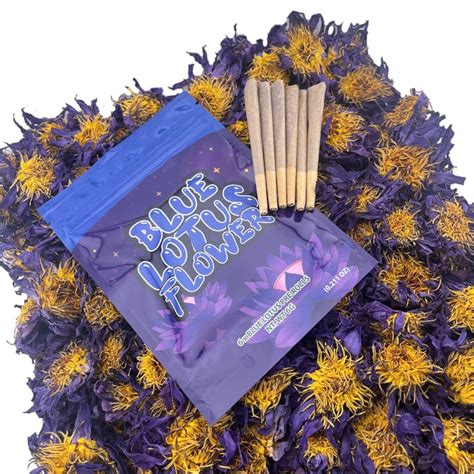 Blue Lotus Flower King Size Pre Rolls 100 Blue Lotus Flower Only