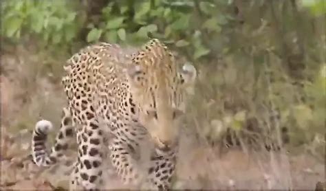 Parque Sexual Free Porn Video D Xhamster Br