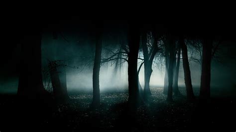 Creepy Fog Wallpapers - Top Free Creepy Fog Backgrounds - WallpaperAccess