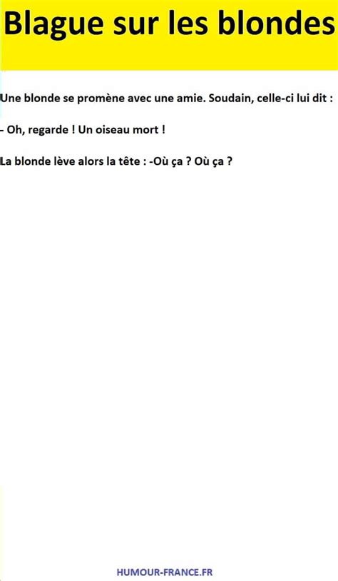 Une Blonde Se Prom Ne Avec Une Amie Humour France Fr