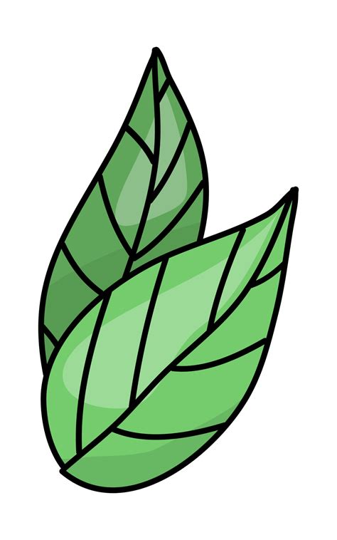 Dessin De Feuille Verte Sur Fond Blanc Illustration Vectorielle