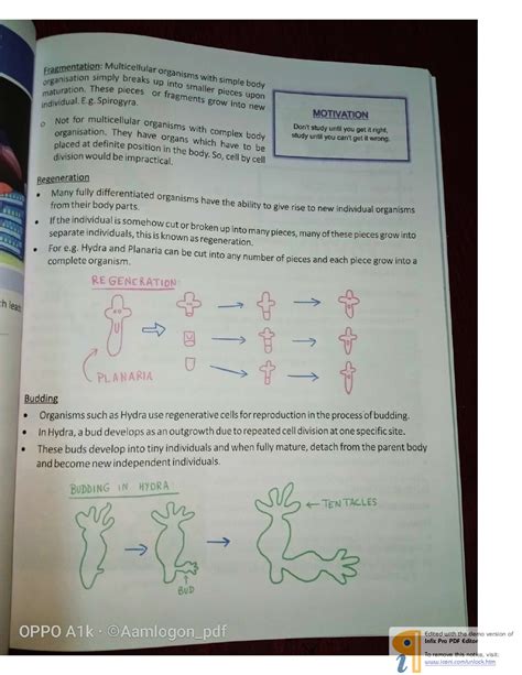 BKP Cheat Sheet Science Class 10 - Utkarsh Saxena - Page 53 | Flip PDF ...