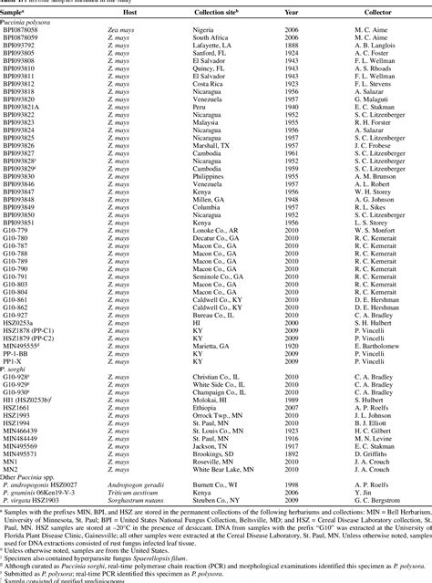 Table From Real Time Pcr Detection And Discrimination Of The Southern