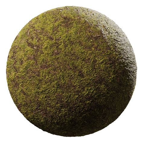 Grass Texture Poliigon
