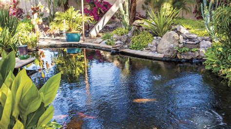 Build a Better Pond - Phoenix Home & Garden