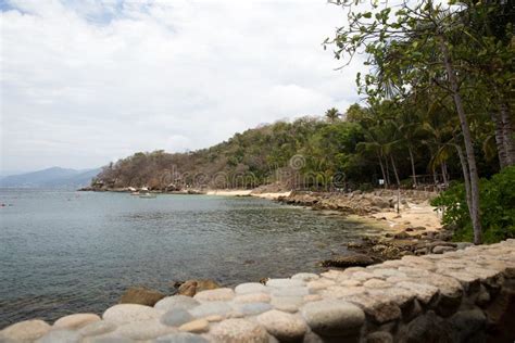 Vallarta Adventures Las Caletas Beach Stock Image - Image of relaxing ...