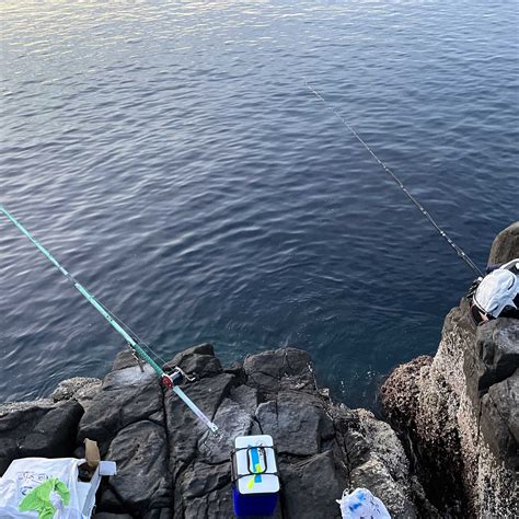 男女群島で底物釣り 一竿風月 楽天ブログ